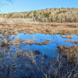 40 Acre Rock Heritage Preserve - Instagram: @telephonesmoothie