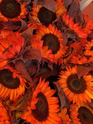 Falls Church Farmers Market by null