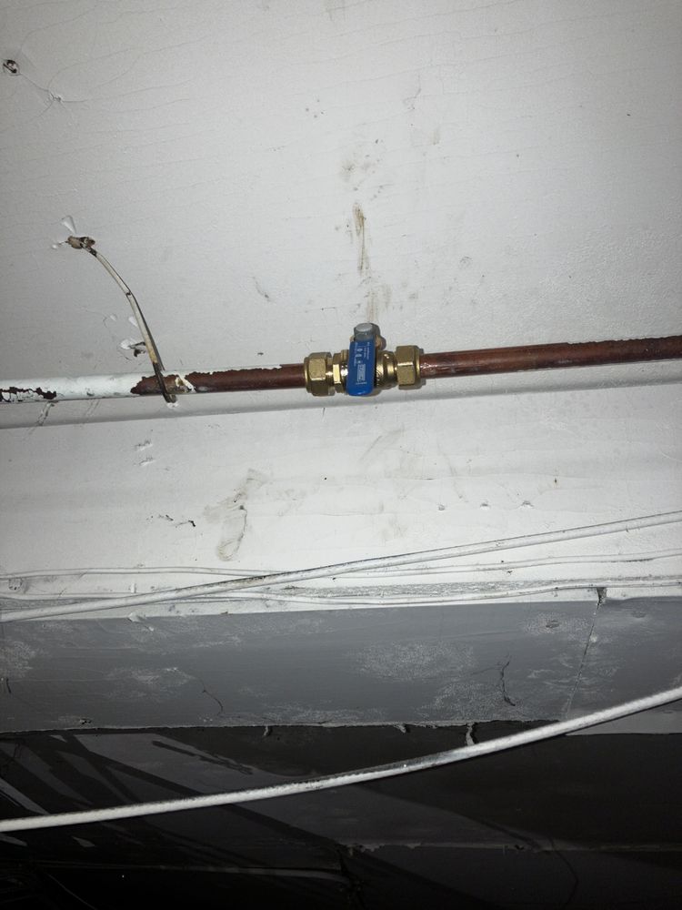 Slide of Silver Plumbing