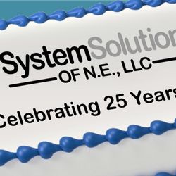 System Solutions of NE
