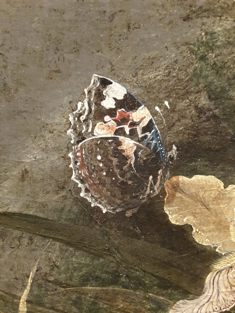 Slide of Roofing Solutions of Tampa