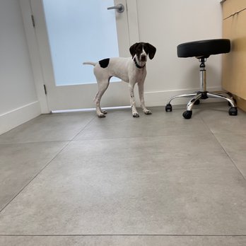 West Delray Veterinary - Veterinarians Near Me - Delray Beach, Florida West Delray Veterinary - Veterinarians Near Me - Delray Beach, Florida