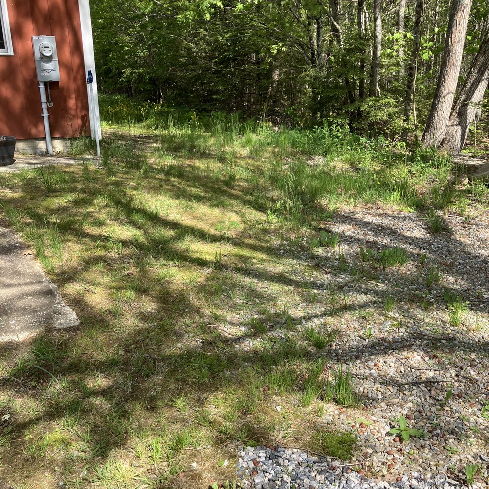 Turf Doctor Lawn & Pest Services - Pest Control Near Me - Augusta, Maine