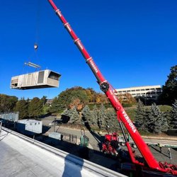 Vergona Crane