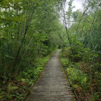 Bauer Enviromental Park - Parks Near Me - Colonie, New York Bauer Enviromental Park - Parks Near Me - Colonie, New York