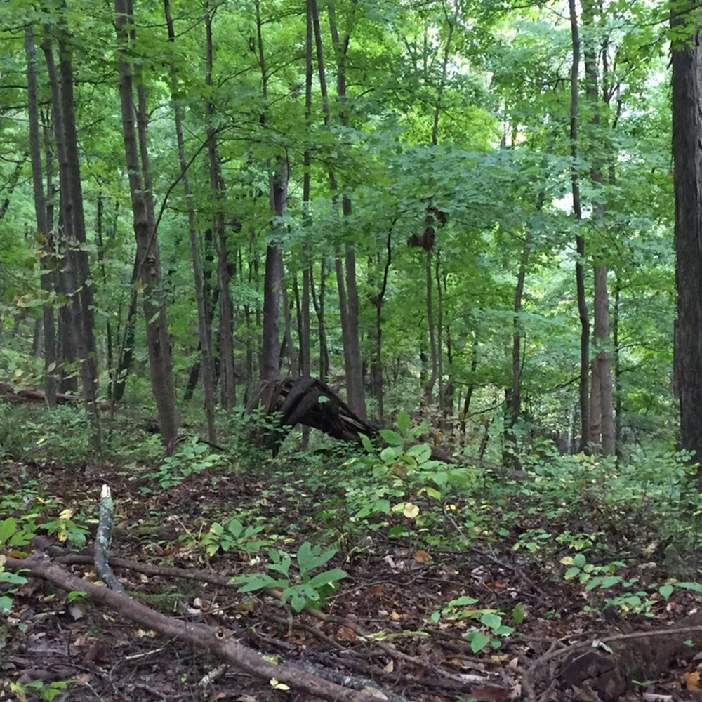 Brown County State Park - Much woods to see and hike! - Hiking Near Me - Nashville, Indiana Brown County State Park - Much woods to see and hike! - Hiking Near Me - Nashville, Indiana