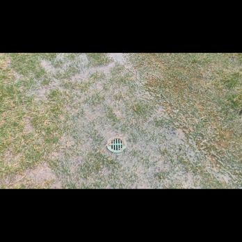 ieLawnPros - Here you will notice iLawnPros install drainage does not work due to improper slope and install of drainage - Lawn Services Near Me