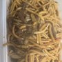 Photo of No 1 Great Wall Restaurant