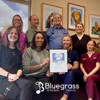 Bluegrass Veterinary Hospital - Veterinarians Near Me - Gallatin, Tennessee Bluegrass Veterinary Hospital - Veterinarians Near Me - Gallatin, Tennessee
