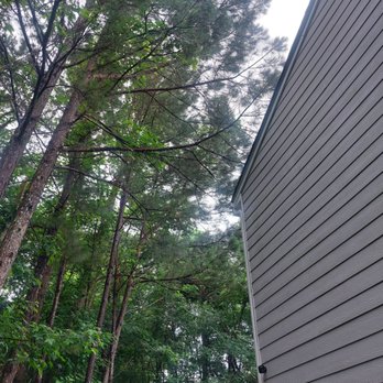 Cheap & Great Tree Services - Tree Services Near Me - Acworth, Georgia Cheap & Great Tree Services - Tree Services Near Me - Acworth, Georgia