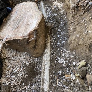 Local Local Plumbing - Bent main waterline pipe. He removed the tree stump and installed a new line. - Plumbing Near Me Local Local Plumbing - Bent main waterline pipe. He removed the tree stump and installed a new line. - Plumbing Near Me