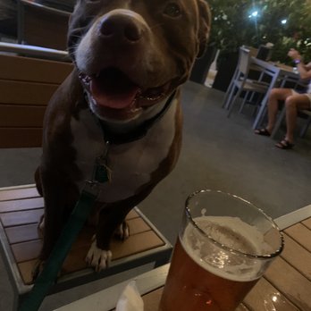 Legends Tavern & Grille - Dog friendly covered outdoor patio with fans. They bring ya a doggy bowl too. - Burgers Near Me - Pompano Beach, Florida Legends Tavern & Grille - Dog friendly covered outdoor patio with fans. They bring ya a doggy bowl too. - Burgers Near Me - Pompano Beach, Florida