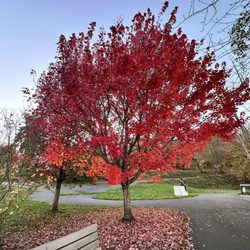 West Bay Park