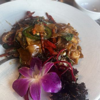 Thai House Noodle Soup - Drunken Noodles - Noodles Near Me - Santa Rosa, California Thai House Noodle Soup - Drunken Noodles - Noodles Near Me - Santa Rosa, California