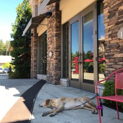 J.Jill - Hanging out in the shade outside on a hot July day.
