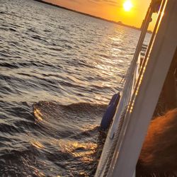 St Johns River Taxi & Tours - Sunset Cruise is  gorgeous..