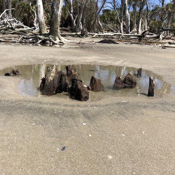 Botany Bay Plantation - Parks Near Me - Edisto Island, South Carolina