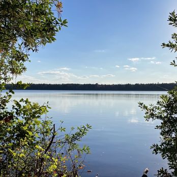 Jones Lake State Park - one of the overlooks overlooking the lake - Parks Near Me - Elizabethtown, North Carolina Jones Lake State Park - one of the overlooks overlooking the lake - Parks Near Me - Elizabethtown, North Carolina