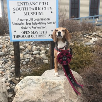 Paws Are US - Debby's big ribbon in nosework. In cold CO. Brrr.... - Pet Services Near Me - Sussex, Wisconsin Paws Are US - Debby's big ribbon in nosework. In cold CO. Brrr.... - Pet Services Near Me - Sussex, Wisconsin