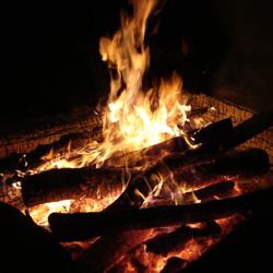 Windsor Woods Hunting Ranch