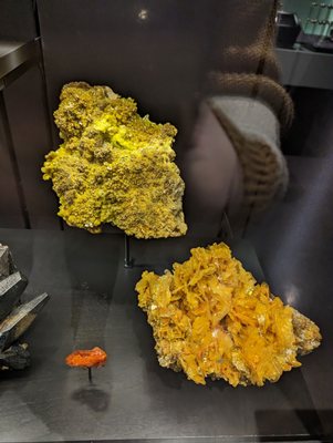 Canadian Museum of Nature / Musée canadien de la nature by null