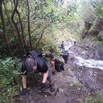 Ka'au Crater - Climbing up the 3rd Waterfall. Gloves and spikes are highly recommended - Hiking Near Me - Honolulu, Hawaii