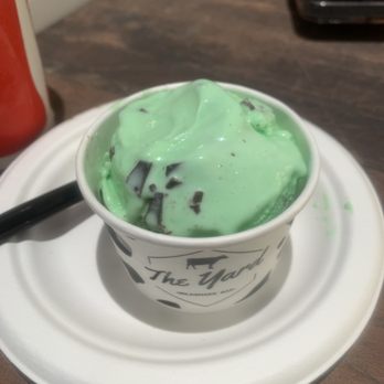 The Yard Milkshake Bar - the "calf cup" baby scoop of melting ice cream after it sat on the back counter for 17 minutes - Ice Cream & Frozen Yogurt Near Me - Denver, Colorado The Yard Milkshake Bar - the "calf cup" baby scoop of melting ice cream after it sat on the back counter for 17 minutes - Ice Cream & Frozen Yogurt Near Me - Denver, Colorado
