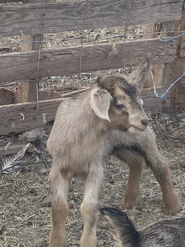 DDD RANCH 10 Photos Snowflake, AZ Yelp