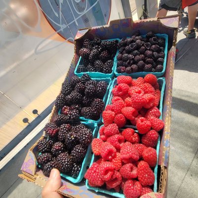 Capitol Hill Sunday Farmers Market by null