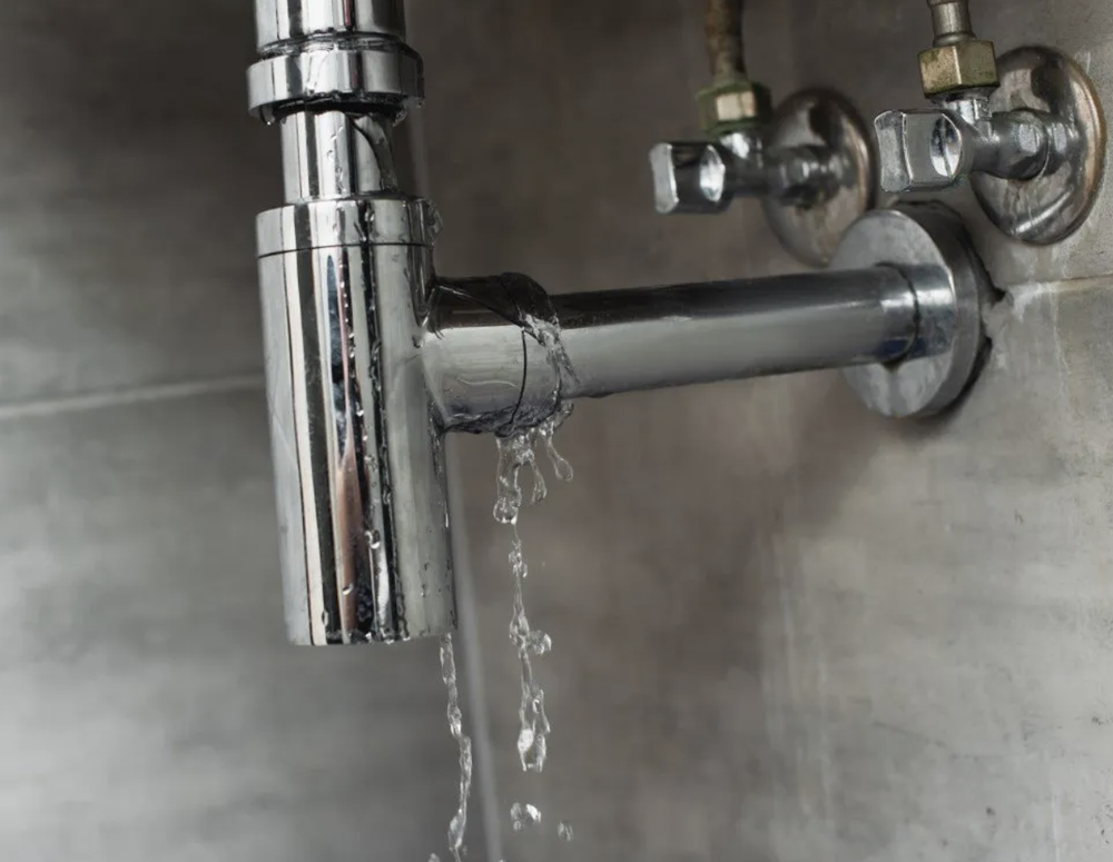 Slide of Maestro Plumbing