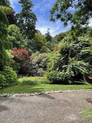 Trebah Garden by null
