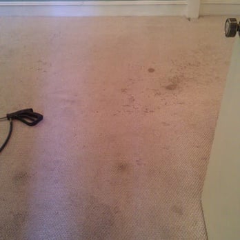Checkmate Carpet Cleaning - Disgusting! - Carpet Cleaning Near Me - castle rock, Washington