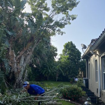 Tito’s Tree Service - Tree Services Near Me Tito’s Tree Service - Tree Services Near Me