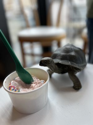 Cuzzy’s Ice Cream Parlor by null