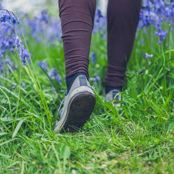 Foot & Ankle Specialists, PC - Foot & Ankle Specialists, P.C. - Podiatrists Near Me - Lambertville, Michigan Foot & Ankle Specialists, PC - Foot & Ankle Specialists, P.C. - Podiatrists Near Me - Lambertville, Michigan