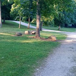 Gifford Pinchot State Park