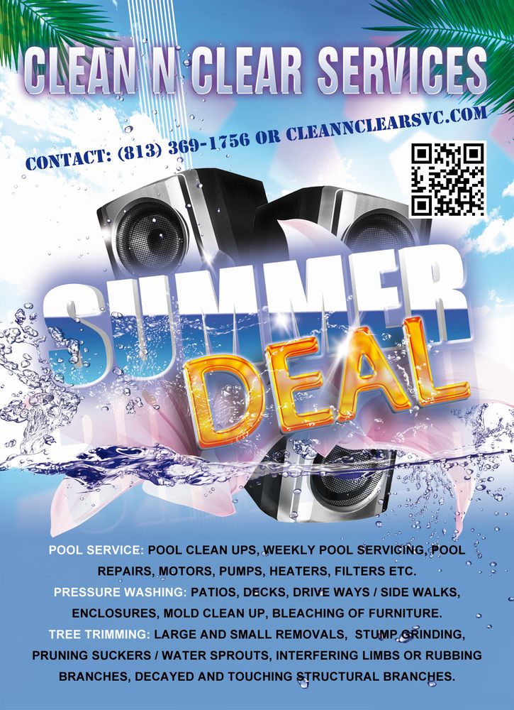 CLEAN N CLEAR POOL SERVICES - Updated February 2025 - 13 Photos - Tampa ...