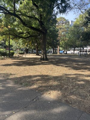 Dupont Circle by null