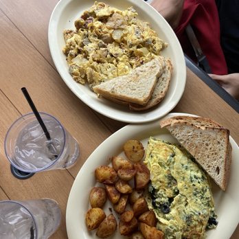 The Floridian - Greek Omelet and The Mess Breakfast Special - Diners Near Me - Fort Lauderdale, Florida The Floridian - Greek Omelet and The Mess Breakfast Special - Diners Near Me - Fort Lauderdale, Florida