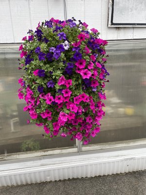 Sarkisian Farms Driving Range LLC