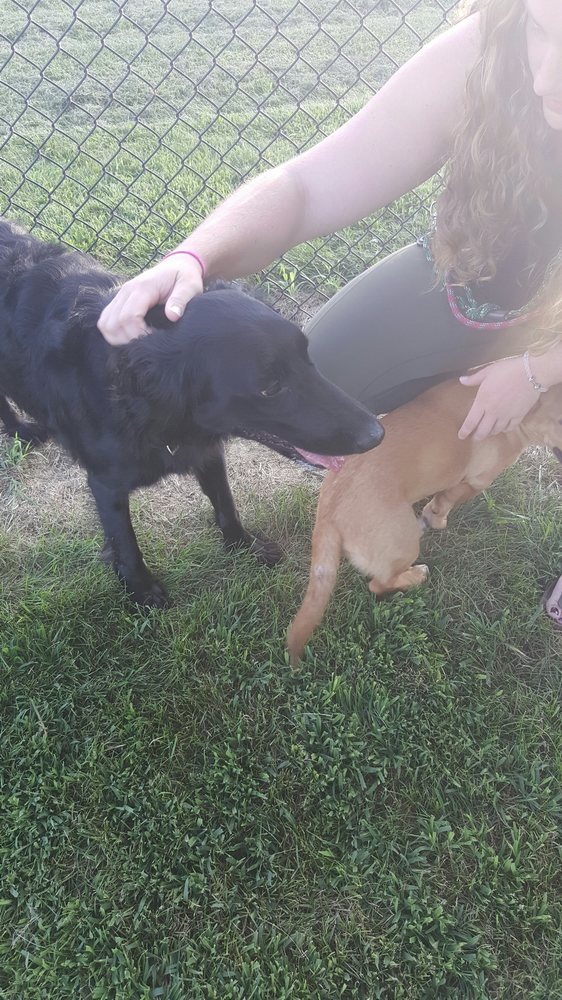 Crow Creek Park Parks 4800 Devils Glen Rd, Bettendorf, IA Phone