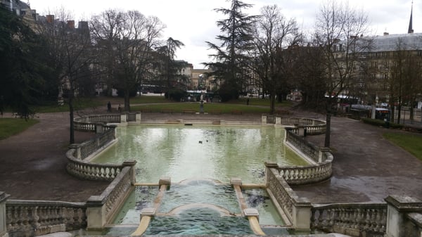 Darcy Garden by null