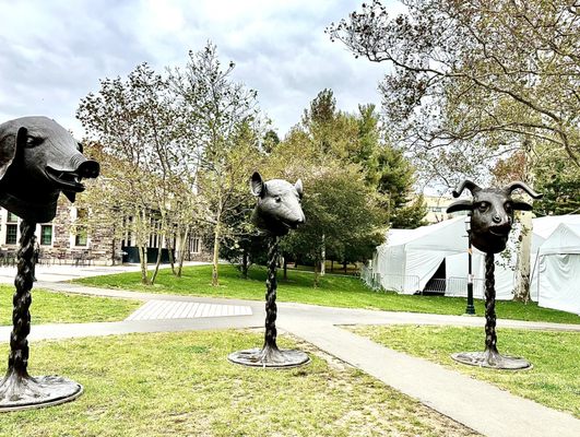 Princeton University by null