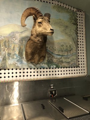 Dewar's Candy Shop by null