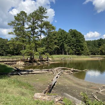 Herb Parsons Lake - Fishing Near Me - Collierville, Tennessee