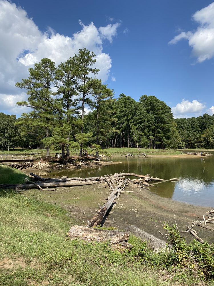 HERB PARSONS LAKE Updated September 2024 23 Photos 140 Herb