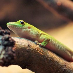 ZOO Liberec