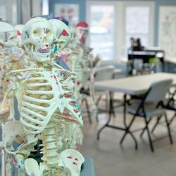 NC Massage School - Advanced Training Courses for Massage Therapists