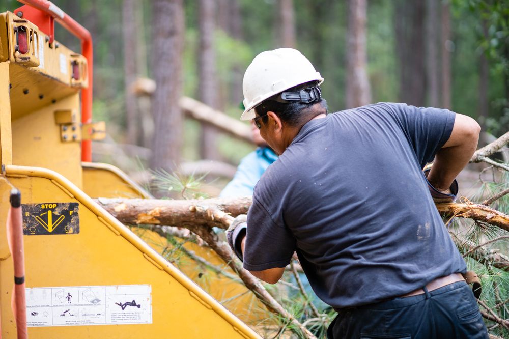 Good Morrow Land Services - tree service in Conroe, TX