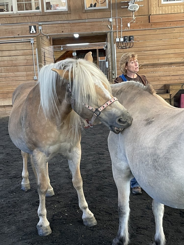 Dreams on Horseback - social services organization in Blacklick, OH